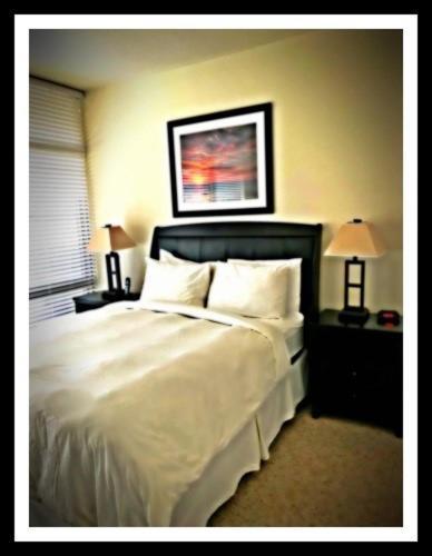 Boq Lodging In Rosslyn Washington Dış mekan fotoğraf